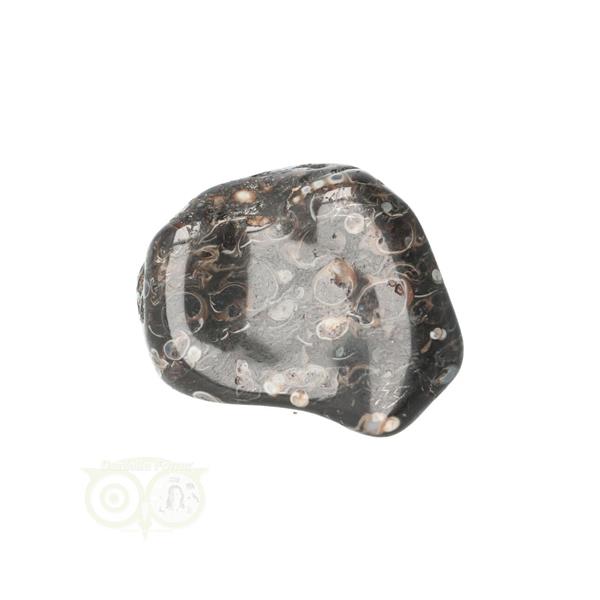 Grote foto turitella agaat trommelsteen nr 31 23 gram verzamelen overige verzamelingen