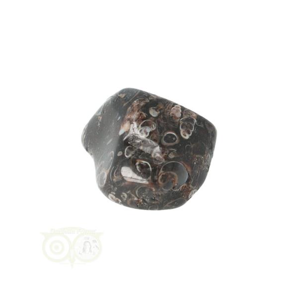 Grote foto turitella agaat trommelsteen nr 31 23 gram verzamelen overige verzamelingen