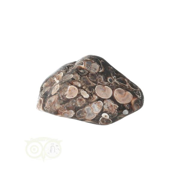 Grote foto turitella agaat trommelsteen nr 30 31 gram verzamelen overige verzamelingen
