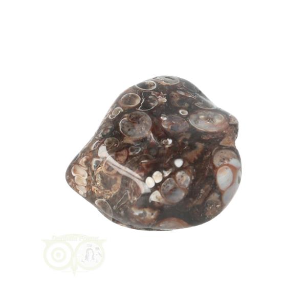 Grote foto turitella agaat trommelsteen nr 29 27 gram verzamelen overige verzamelingen