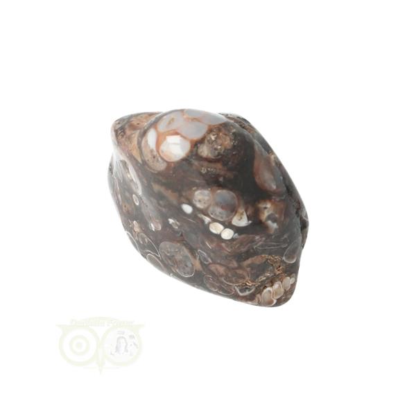 Grote foto turitella agaat trommelsteen nr 29 27 gram verzamelen overige verzamelingen