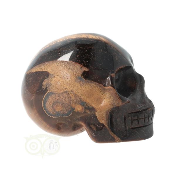 Grote foto tijgeroog schedel nr 18 103 gram verzamelen overige verzamelingen
