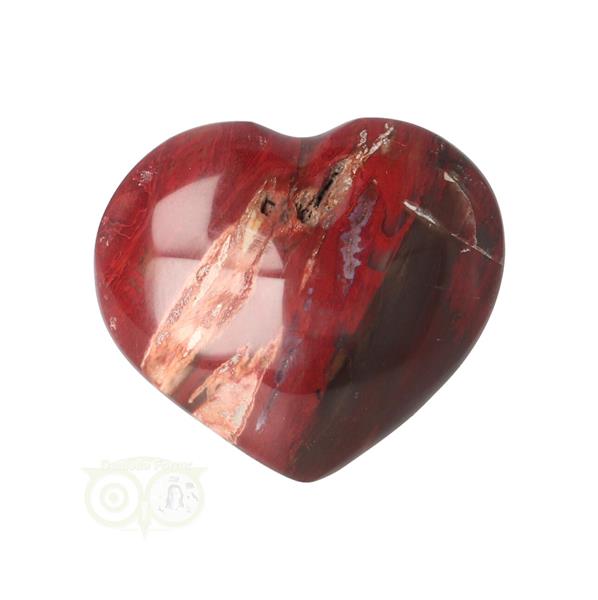 Grote foto versteend hout hart 3 cm nr 53 17 gram madagaskar verzamelen overige verzamelingen