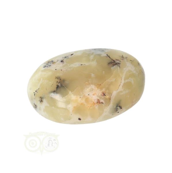 Grote foto dendriet opaal agaat handsteen small nr 23 15 gram verzamelen overige verzamelingen