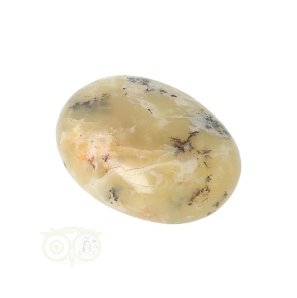 Grote foto dendriet opaal agaat handsteen small nr 23 15 gram verzamelen overige verzamelingen