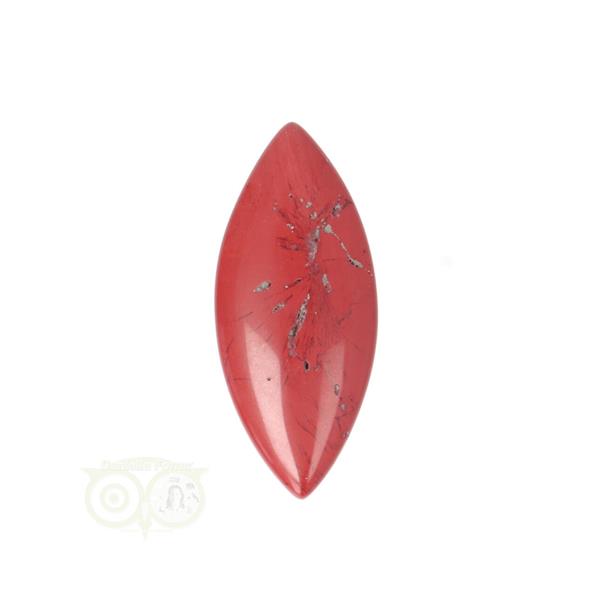 Grote foto rode jaspis ovaal hanger nr 12 11 gram kleding dames sieraden