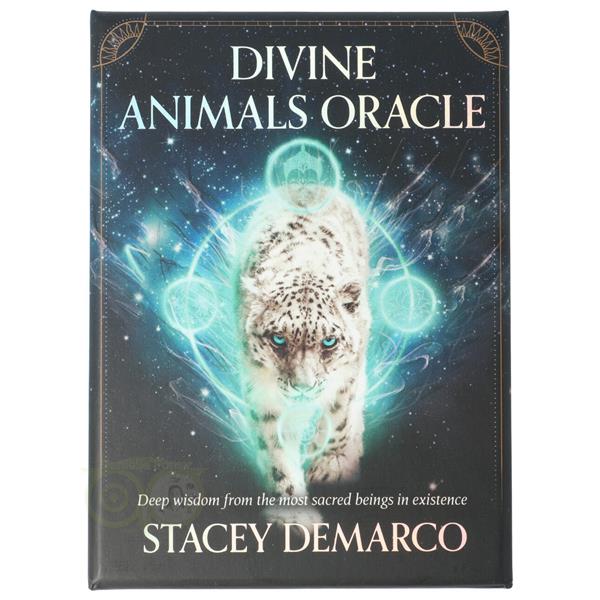 Grote foto divine animals oracle stacey demarco engelse editie boeken overige boeken