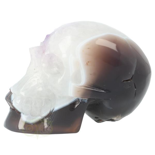 Grote foto agaat kristallen schedel 845 gram verzamelen overige verzamelingen