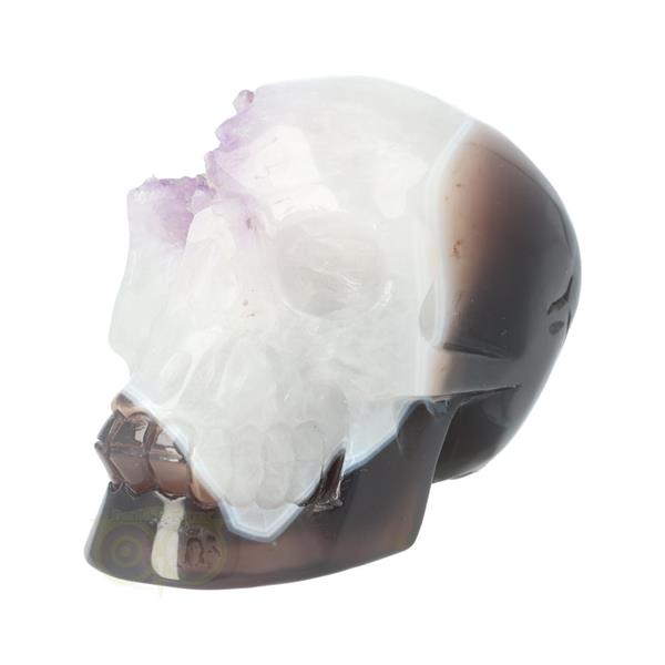 Grote foto agaat kristallen schedel 845 gram verzamelen overige verzamelingen