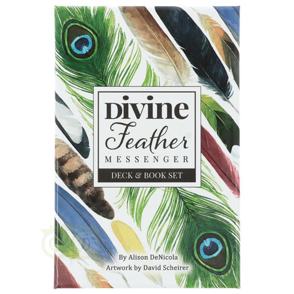 Grote foto divine feather messenger alison denicola engelstalig boeken overige boeken