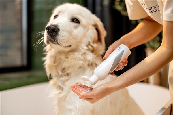 Grote foto dog dry shampoo huis en inrichting overige huis en inrichting