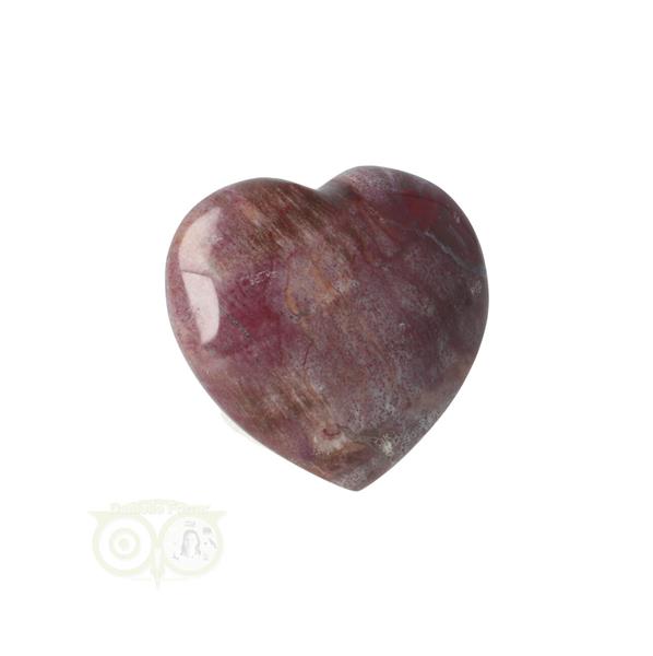 Grote foto versteend hout hart 3 cm nr 47 19 gram madagaskar verzamelen overige verzamelingen