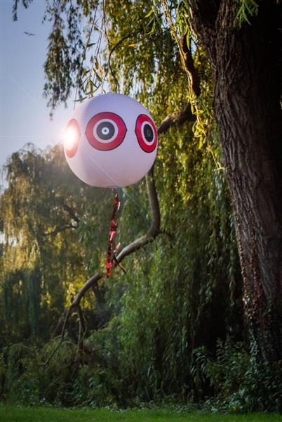 Grote foto knock off schrikballon zwart dieren en toebehoren overige