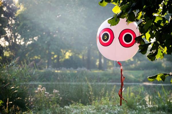 Grote foto knock off schrikballon zwart dieren en toebehoren overige