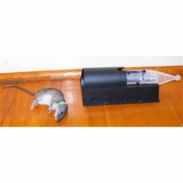 Grote foto nooski mouse trap dieren en toebehoren overige