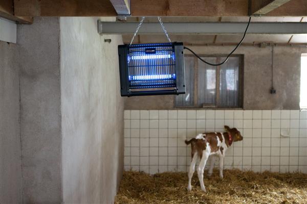 Grote foto knock off insectenlamp 2x6 watt dieren en toebehoren overige