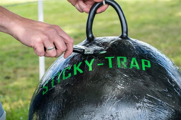 Grote foto sticky trap glue val compleet heavy dieren en toebehoren overige