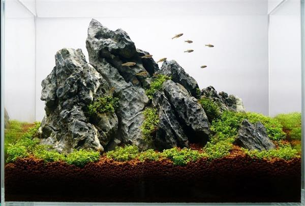 Grote foto ordinairy tsinglung 10 20cm aquarium decoratie steen dieren en toebehoren vissenkommen