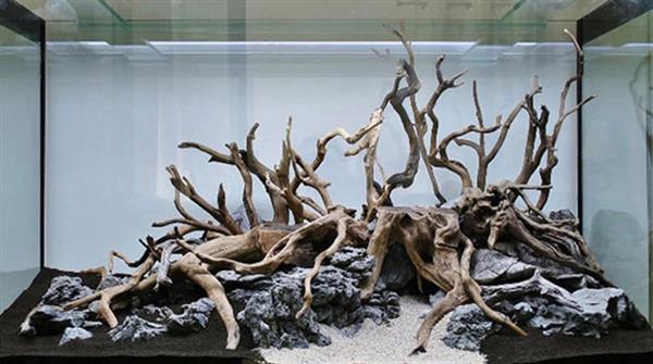 Grote foto spider wood 25 35cm aquarium decoratie hout dieren en toebehoren vissenkommen