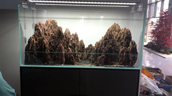 Grote foto dragon stone 15 25cm aquarium decoratie stenen dieren en toebehoren vissenkommen