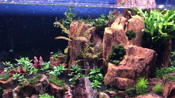 Grote foto red wood stone 10 15cm aquarium decoratie stenen dieren en toebehoren vissenkommen