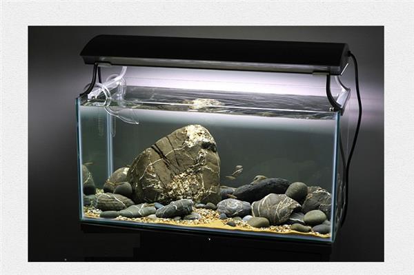Grote foto brook stone 10 15cm aquarium decoratie stenen dieren en toebehoren vissenkommen