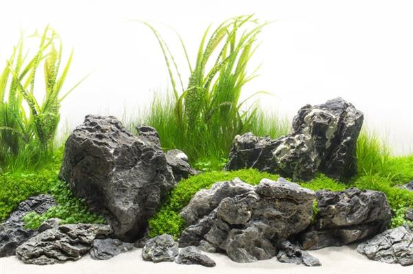 Grote foto grey luo hanshi 20 30cm aquarium decoratie stenen dieren en toebehoren vissenkommen