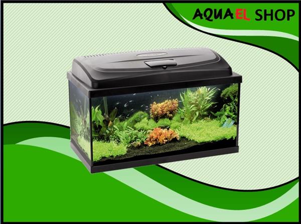 Grote foto classic box 60 xxl 40cm hoog recht aquarium dieren en toebehoren vissenkommen