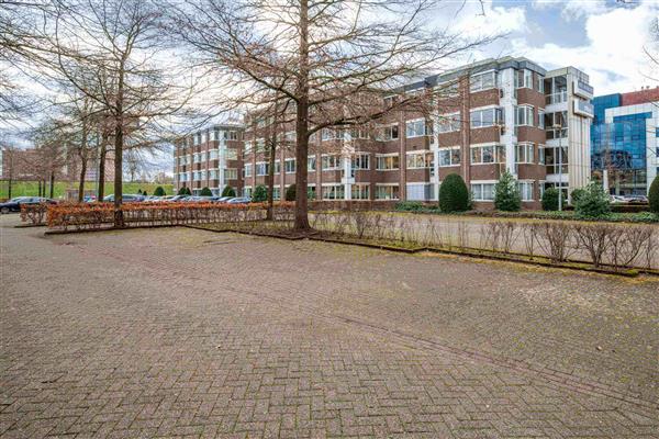 Grote foto te huur kantoorruimte bruistensingel 100 299 den bosch huizen en kamers bedrijfspanden