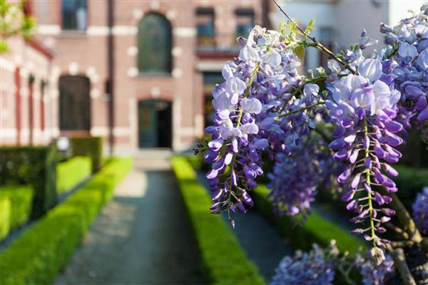 Grote foto te huur kantoorruimte molenstraat 10 roosendaal huizen en kamers bedrijfspanden