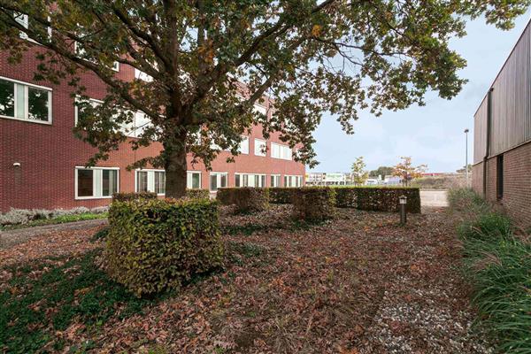 Grote foto te huur kantoorruimte hogeweg 6 hulst huizen en kamers bedrijfspanden