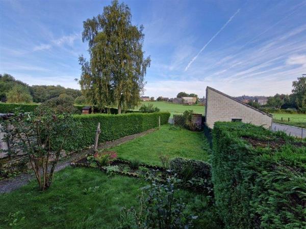 Grote foto paliseul mooie woning met garage en tuin. huizen en kamers eengezinswoningen