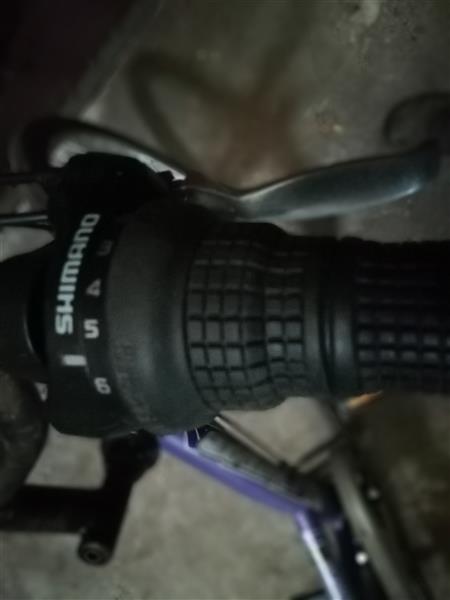 Grote foto meisjes en of jongens fiets fietsen en brommers meisjesfietsen