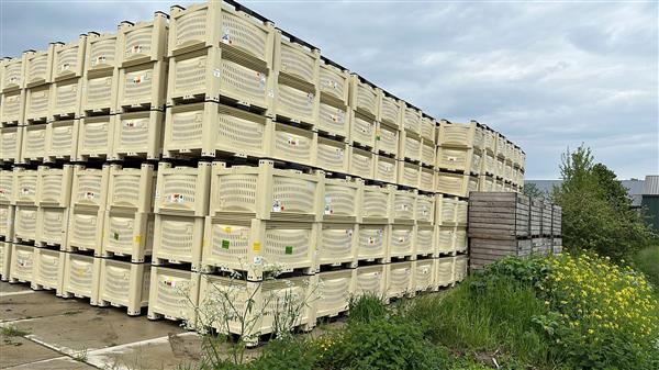 Grote foto palletboxen kunststof fruitkisten zakelijke goederen verpakking en verzending