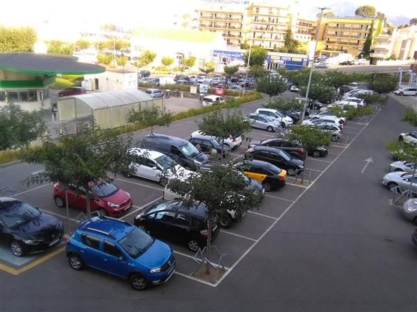 Grote foto rosas genieten in de zon vanaf 29 maart 2025 vakantie spanje