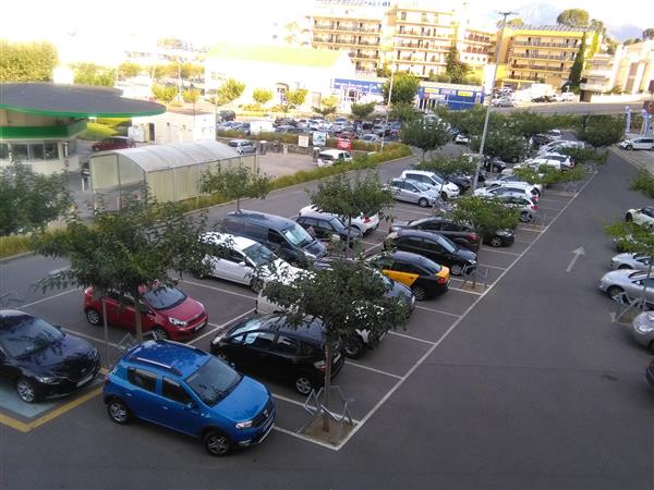 Grote foto rosas genieten in de zon vanaf 27 04 24. vakantie spanje