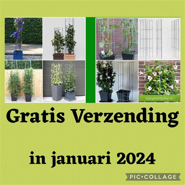 Grote foto klimplantenrek plantenklimrek plantensteun tuin en terras bloemen en planten
