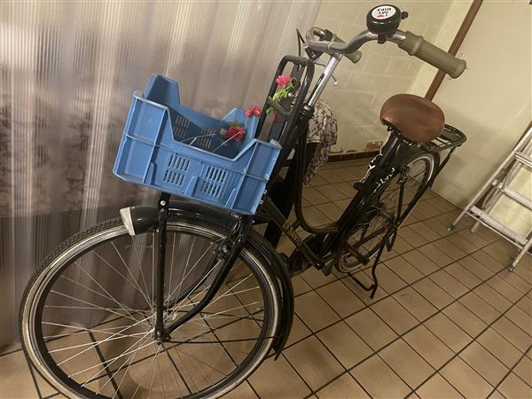 Grote foto hollandse damesfiets fietsen en brommers damesfietsen