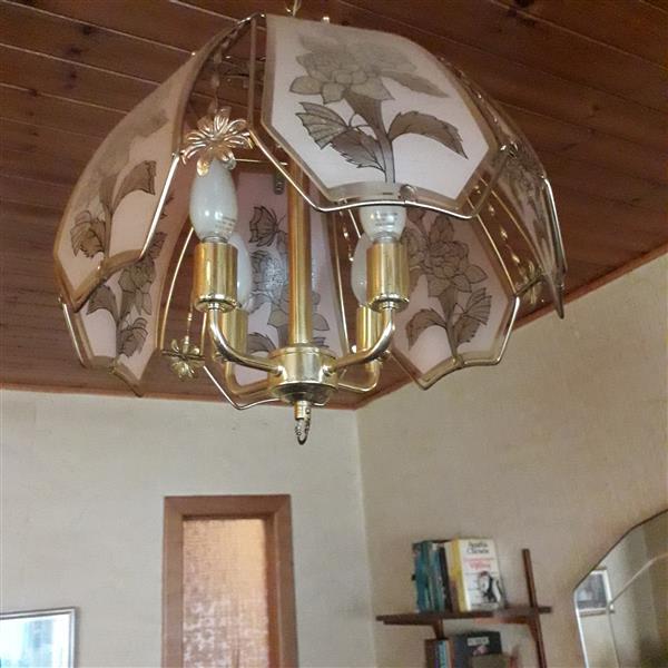Grote foto luster in glas huis en inrichting plafondlampen