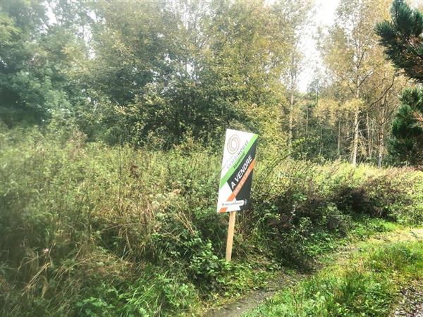 Grote foto petigny couvin bosgrond 20 are riviertje huizen en kamers kavels benelux