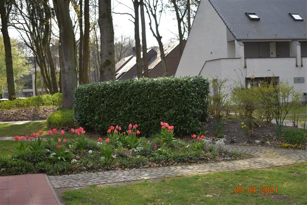 Grote foto mooi gelijkvloers vakantiehuisje hengelhoef den 5 vakantie belgi