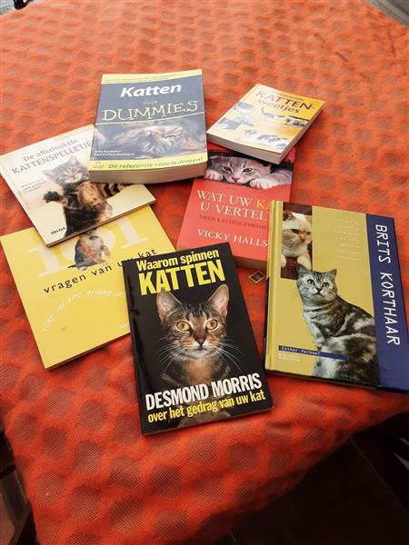 Grote foto katteboeken boeken dieren en huisdieren