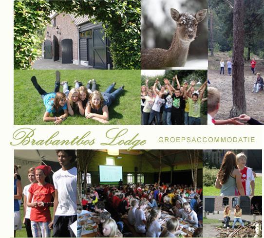 Grote foto schoolkamp nederland nabij eindhoven vakantie kids op kamp