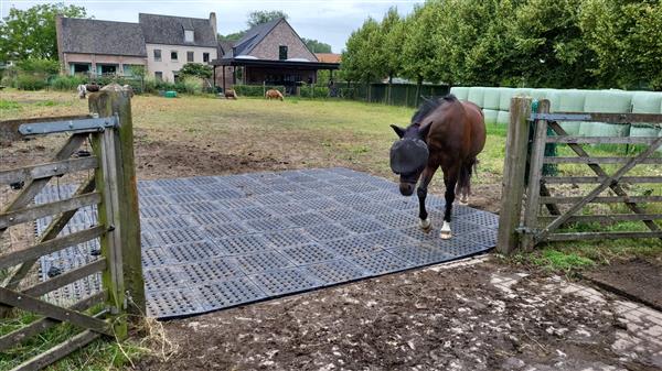 Grote foto mudmodder paddockplaten dieren en toebehoren stalling en weidegang