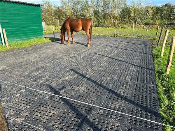 Grote foto mudmodder paddockplaten dieren en toebehoren stalling en weidegang