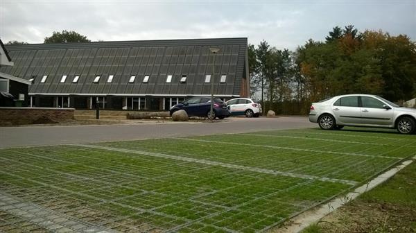 Grote foto grastegel grasplaat gras tuin en terras overige tuin en terras