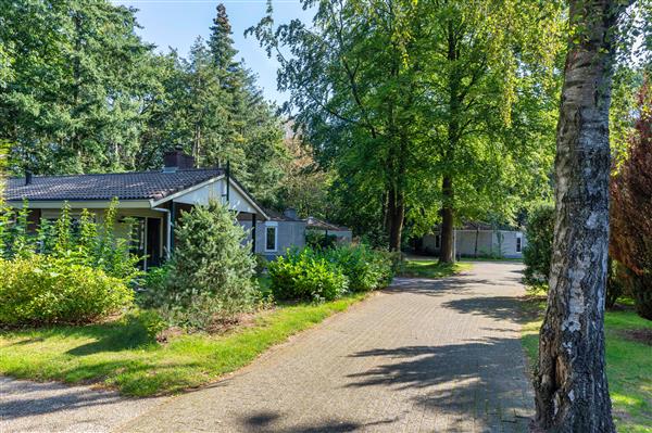 Grote foto vakantie vieren op de veluwe vakantie nederland midden