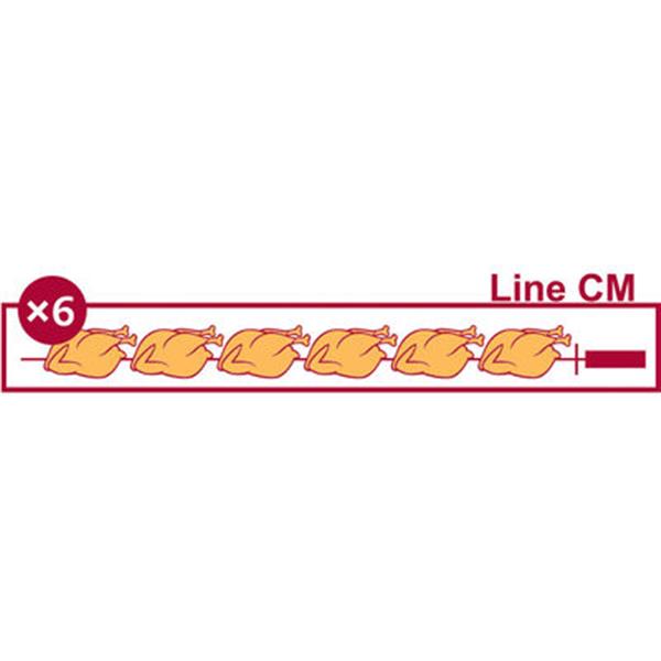 Grote foto vitroceramisch kippenspit 6 spitten 36 kippen diamond rve 6c cm diversen overige diversen