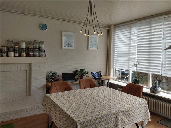 Grote foto groot huis met atelier huizen en kamers vrijstaand