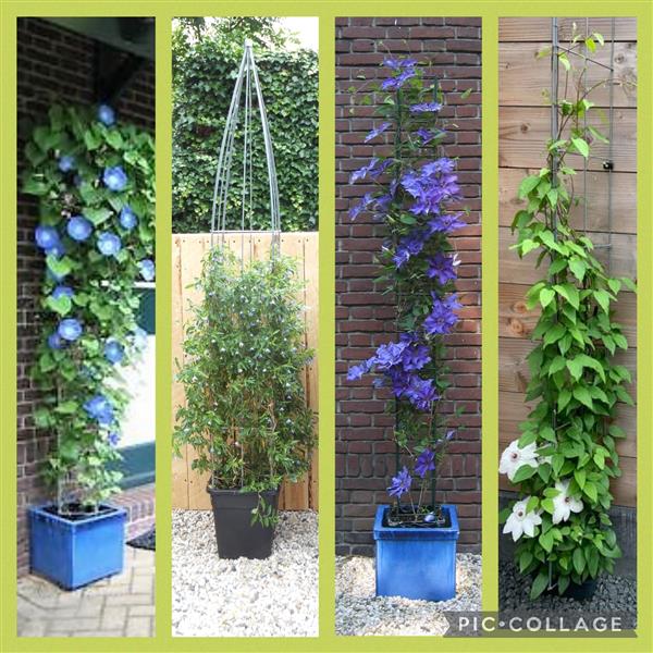 Grote foto plantenbak met waterschotel met roestvrij draadrek tuin en terras hekken en schuttingen